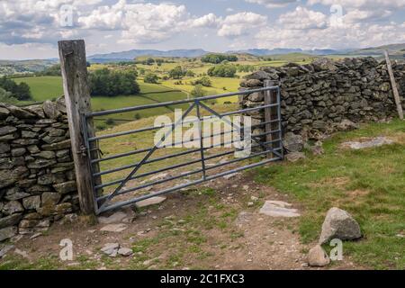 Potter Fell ist ein Fell in der Nähe der Dörfer Burneside und Staveley, Cumbria, England. Auf dem Fell sind mehrere Tarns vorhanden, darunter Gurnal Dubs Stockfoto