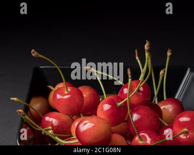 Reife Kirschen auf schwarzem Hintergrund. Rosa Beere. Stockfoto