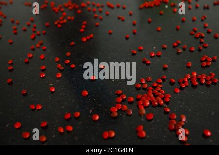 Rote Sandelholz (Adenanthera pavonina) Samen isoliert auf schwarzem Hintergrund. Manchadi, Manjadi, Manjetti, Pfauenblumenzaun, Acacia Coral, Anikundum Stockfoto