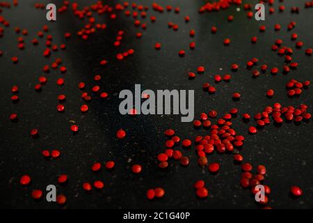 Rote Sandelholz (Adenanthera pavonina) Samen isoliert auf schwarzem Hintergrund. Manchadi, Manjadi, Manjetti, Pfauenblumenzaun, Acacia Coral, Anikundum Stockfoto