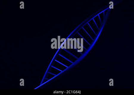 Digitale Illustration DNA Struktur Rendern mit 3D Stockfoto