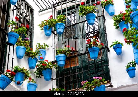 Luft im Garten arbeiten - Blau Blumentöpfe auf Haus Wand in einem spanischen Innenhof öffnen Stockfoto