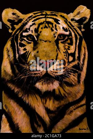 Tigergemälde Stockfoto