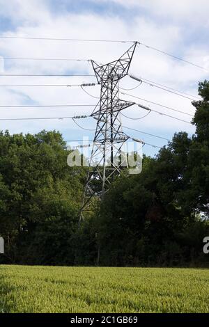 Portrait Bild zeigt Pylon über Maisfeld im Frühjahr mit bewölktem Himmel Stockfoto
