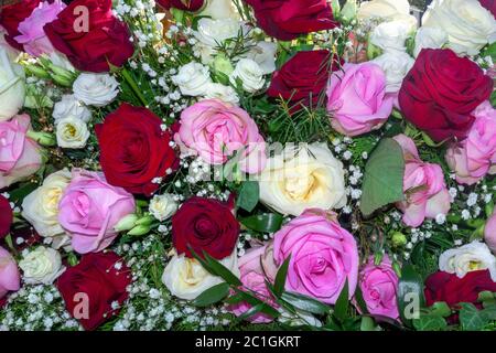 Schöne Blumenarrangements von weißen, rosa und roten Rosen in Nahaufnahme Stockfoto