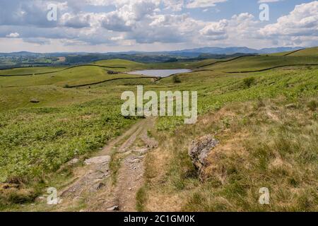 Potter Fell ist ein Fell in der Nähe der Dörfer Burneside und Staveley, Cumbria, England. Auf dem Fell sind mehrere Tarns vorhanden, darunter Gurnal Dubs Stockfoto