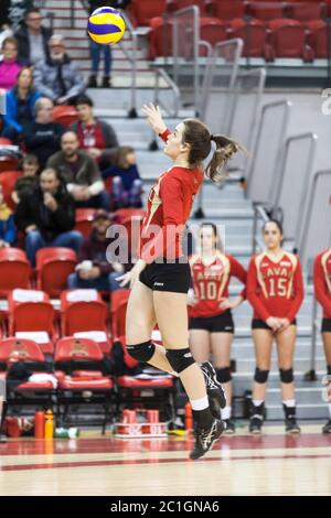 Volleyball Frau Spieler Laval Rouge et OR - Service Stockfoto