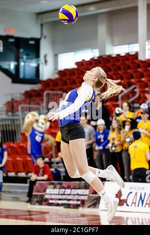 Volleyball-Frau Ryerson Rams - Service, serviert Stockfoto