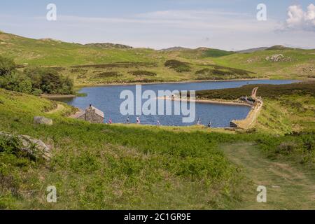 Potter Fell ist ein Fell in der Nähe der Dörfer Burneside und Staveley, Cumbria, England. Auf dem Fell sind mehrere Tarns vorhanden, darunter Gurnal Dubs Stockfoto