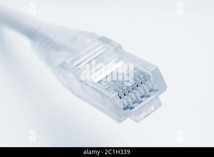 Nahaufnahme des rj45-Steckers des Patchkabel für LAN-Verbindung über weißem Hintergrund. Stockfoto