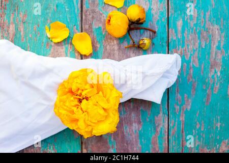 Gelbe Seide Baumwolle Baum Blumen mit Tuch Stockfoto