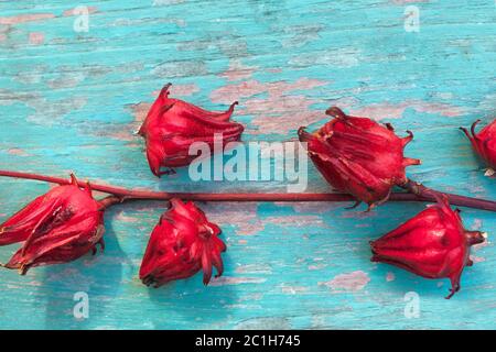 Frische Roselle Früchte. Stockfoto