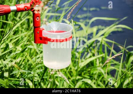 Nehmen Sie Proben des Wassers für Labortests. Das Konzept - Analyse der Wasserreinheit, Umwelt, Ökologie. Stockfoto