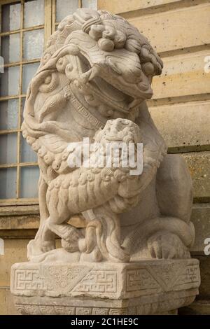 Löwenmarmor Gesicht, chinesischer Löwe, Stein Schnitzerei Skulptur, das Symbol der Macht Stockfoto