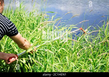 Nehmen Sie Proben des Wassers für Labortests. Das Konzept - Analyse der Wasserreinheit, Umwelt, Ökologie. Stockfoto