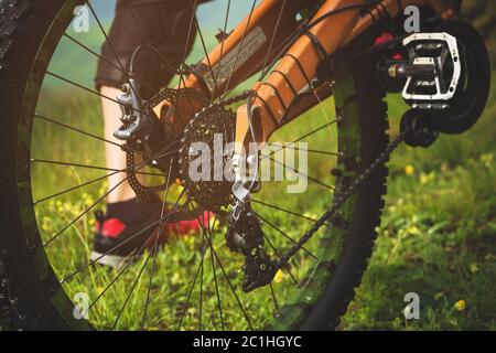 Nahaufnahme der Hinterrad-Kassette vom Mountainbike auf die Landschaft und grünes Gras Stockfoto