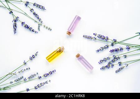 Lavendelblüte, Glasflaschen mit Extrakt und ätherischem Öl auf weißem Hintergrund, Draufsicht, flach liegend. Stockfoto
