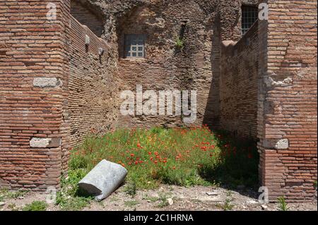 Ostia Antica, Italien. 13/06/2020: Parco Archeologico di Ostia Antica - Archäologischer Park von Ostia Antica © Andrea Sabbadini Stockfoto