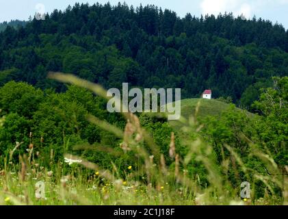 Niedliche kleine Kapelle auf einem Hügel mit Wald im Hintergrund Stockfoto