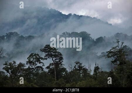 Landschaft eines Regenwaldgebietes am Fuße des Mount Tangkoko und Duasudara (Dua Saudara) in Bitung, Nord-Sulawesi, Indonesien. Stockfoto