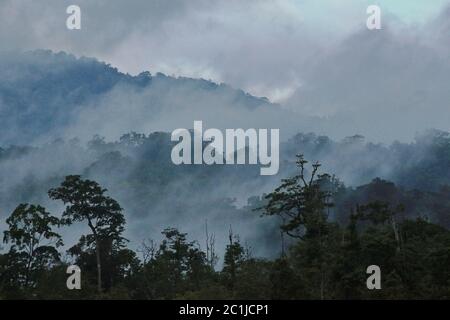 Landschaft eines Regenwaldgebietes am Fuße des Mount Tangkoko und Duasudara (Dua Saudara) in Bitung, Nord-Sulawesi, Indonesien. Stockfoto