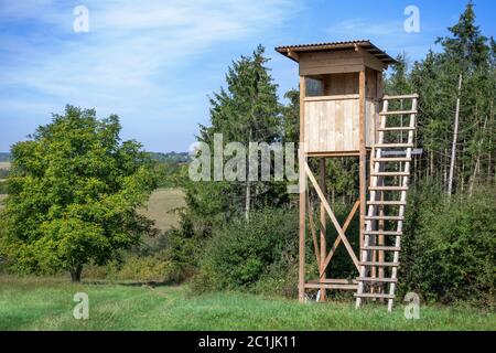 Im Sommer auf einer Wiese am Waldrand aufgehobene Verstecke Stockfoto