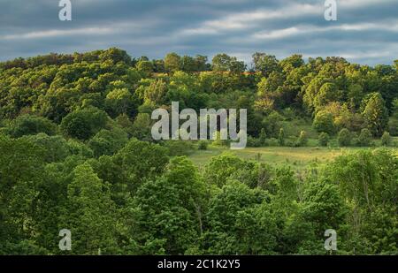 Grüne und üppige Wälder und Farmland auf einem Hügel außerhalb von McClure, in Zentral-Pennsylvania, mit blauem Wolkenhimmel im Sommer. Stockfoto