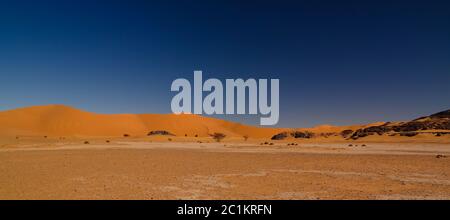 Abstrakte Felsformation an Tamezguida, Tassili nAjjer Nationalpark, Algerien Stockfoto