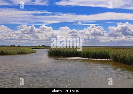 Der Prerower River von Barth in Richtung Prerow Stockfoto