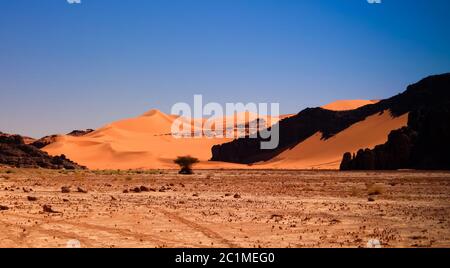 Abstrakte Rock Formation Boumediene, Tassili nAjjer Nationalpark, Algerien Stockfoto