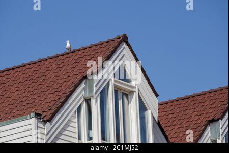 Weiße Häuser mit einer Möwe auf dem Dach im blauen Himmel closeup Stockfoto