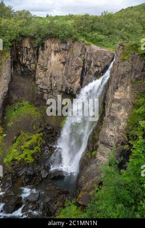 Svartifoss Wasserfall oder Balck Wasserfall, Vatnajökull National Park auf Island Stockfoto