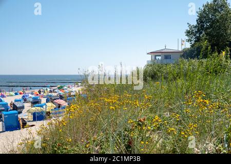 Der Strand des Badeortes Zempin auf der Insel Usedom in der Ostsee Stockfoto