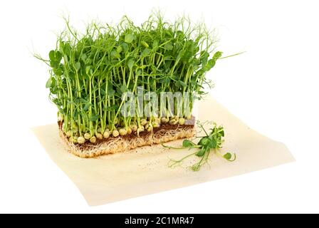 Frische mpea mikrogrünen Sprossen auf Bastelpapier isoliert auf weiß. Gesunde Mahlzeit Stockfoto