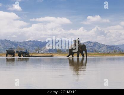 Elefant Rider in Vietnam. Stockfoto