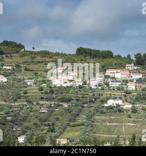 Pisten bedeckt mit Weinbergen in Portugal Stockfoto