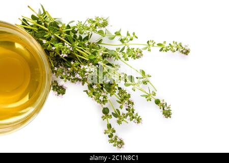 Wilder Thymian mit Kräutern und Tee. Stockfoto