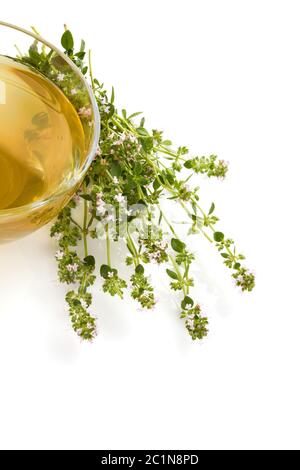 Wilder Thymian mit Kräutern und Tee. Stockfoto