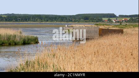 Federsee bei Bad Buchau Stockfoto