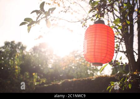 Schöne bunte Laternen hängen an den Bäumen mit Sonnenlicht an einem sonnigen Tag Stockfoto