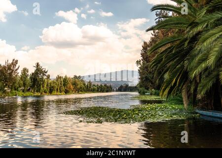 Panoramablick auf Xochimilco Kanäle oder Kanäle entlang der schwimmenden Gärten oder Chinampas in Mexiko-Stadt bei Sonnenuntergang mit ein paar Trajinera Boote in t Stockfoto