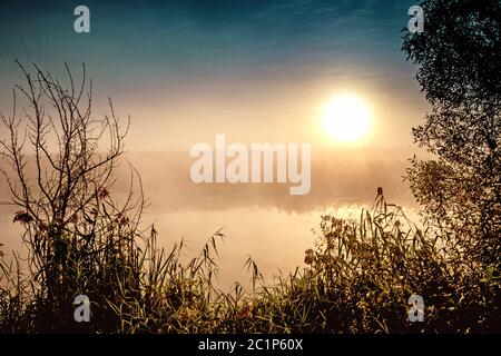 Unglaublich mystischen Morgen Landschaft mit der aufgehenden Sonne, Baum, Reed und Nebel über dem Wasser. Stockfoto