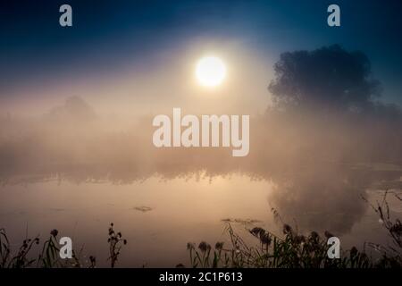 Unglaublich mystischen Morgen Landschaft mit der aufgehenden Sonne, Baum, Reed und Nebel über dem Wasser. Stockfoto