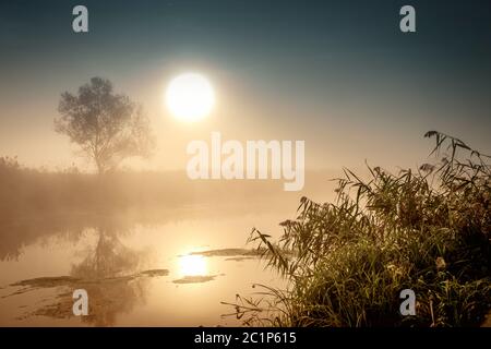 Unglaublich mystischen Morgen Landschaft mit der aufgehenden Sonne, Baum, Reed und Nebel über dem Wasser. Stockfoto