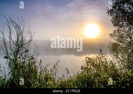 Unglaublich mystischen Morgen Landschaft mit der aufgehenden Sonne, Baum, Reed und Nebel über dem Wasser. Stockfoto