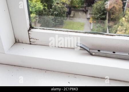 Close-up alte Fensterrahmen, schmutzig, Schimmel und gebrochen Stockfoto