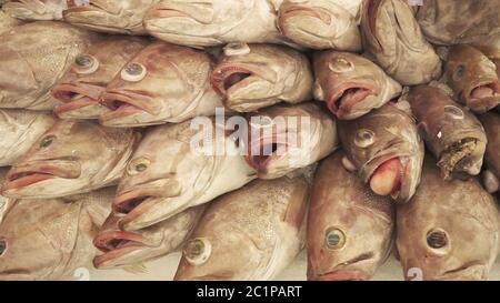 Gefrorenen Fisch auf die Theke im Supermarkt Stockfoto