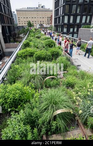 Menschen, die auf dem High Line Park spazieren. Die High Line ist ein Park auf einer historischen Güterbahn, die über den Straßen in der West Side liegt Stockfoto