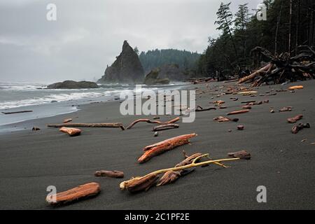 WA16844-00....WASHINGTON - Treibholz, Baumstämme und Wurzelbälle, die von den Winterstürmen am Rialto Beach in der Nähe von Hole-in-the-Wall im Olympischen Nationalpalast in die Luft gesprengt werden Stockfoto