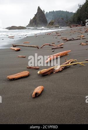 WA16845-00....WASHINGTON - Treibholz, Baumstämme und Wurzelbälle, die von den Winterstürmen am Rialto Beach in der Nähe von Hole-in-the-Wall im Olympischen Nationalpalast in die Luft gesprengt werden Stockfoto